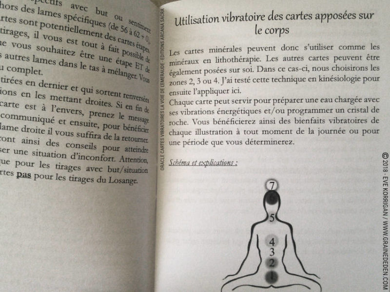 La Voie de l'Emeraude Oracle Cartes de La Blanche Dragonne Review - Graine d'Eden Développement personnel, spiritualité, tarots et oracles divinatoires, Bibliothèques des Oracles, avis, présentation, review tarot oracle , revue tarot oracle