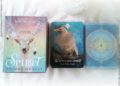 The Spirit Animal Oracle de Colette Baron-Reid et Jena DellaGrottaglia Review - Graine d'Eden Développement personnel, spiritualité, tarots et oracles divinatoires, Bibliothèques des Oracles, avis, présentation, review tarot oracle , revue tarot oracle