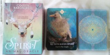 The Spirit Animal Oracle de Colette Baron-Reid et Jena DellaGrottaglia Review - Graine d'Eden Développement personnel, spiritualité, tarots et oracles divinatoires, Bibliothèques des Oracles, avis, présentation, review tarot oracle , revue tarot oracle