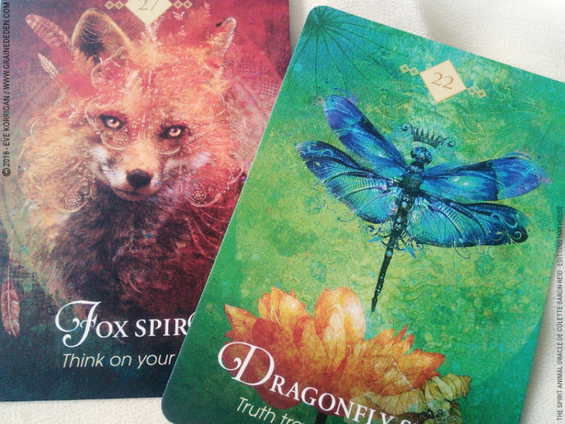 The Spirit Animal Oracle de Colette Baron-Reid et Jena DellaGrottaglia Review - Graine d'Eden Développement personnel, spiritualité, tarots et oracles divinatoires, Bibliothèques des Oracles, avis, présentation, review tarot oracle , revue tarot oracle