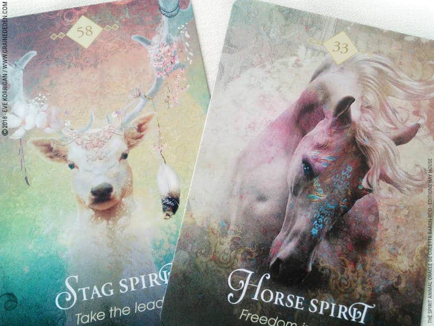 The Spirit Animal Oracle de Colette Baron-Reid Review