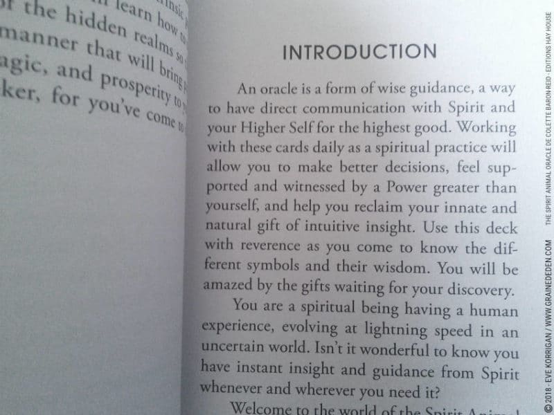 The Spirit Animal Oracle de Colette Baron-Reid et Jena DellaGrottaglia Review - Graine d'Eden Développement personnel, spiritualité, tarots et oracles divinatoires, Bibliothèques des Oracles, avis, présentation, review tarot oracle , revue tarot oracle