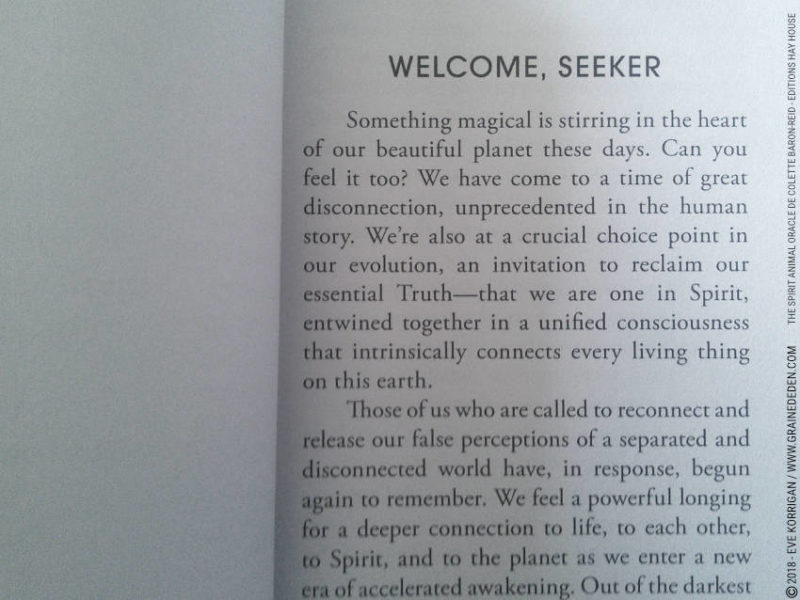 The Spirit Animal Oracle de Colette Baron-Reid et Jena DellaGrottaglia Review - Graine d'Eden Développement personnel, spiritualité, tarots et oracles divinatoires, Bibliothèques des Oracles, avis, présentation, review tarot oracle , revue tarot oracle