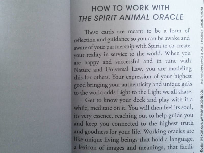 The Spirit Animal Oracle de Colette Baron-Reid et Jena DellaGrottaglia Review - Graine d'Eden Développement personnel, spiritualité, tarots et oracles divinatoires, Bibliothèques des Oracles, avis, présentation, review tarot oracle , revue tarot oracle