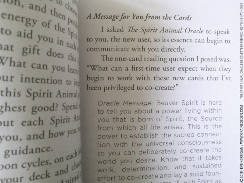 The Spirit Animal Oracle de Colette Baron-Reid et Jena DellaGrottaglia Review - Graine d'Eden Développement personnel, spiritualité, tarots et oracles divinatoires, Bibliothèques des Oracles, avis, présentation, review tarot oracle , revue tarot oracle