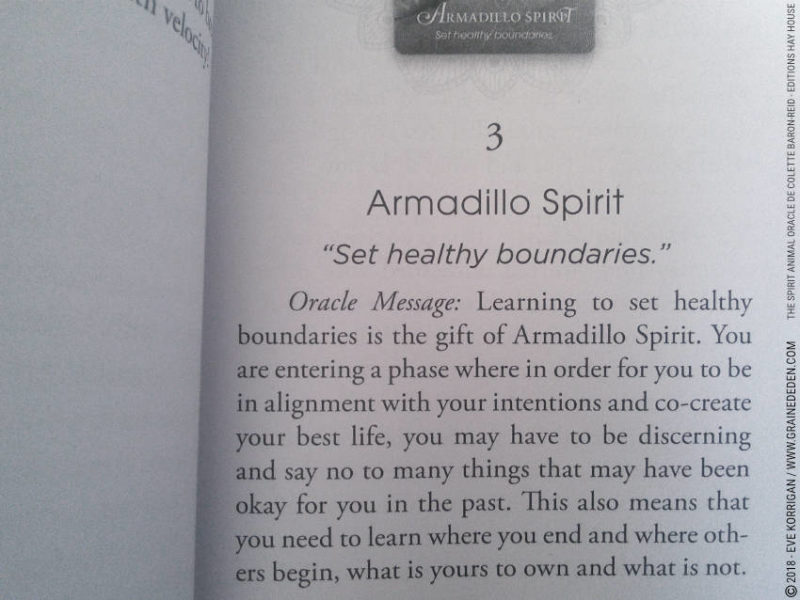 The Spirit Animal Oracle de Colette Baron-Reid et Jena DellaGrottaglia Review - Graine d'Eden Développement personnel, spiritualité, tarots et oracles divinatoires, Bibliothèques des Oracles, avis, présentation, review tarot oracle , revue tarot oracle