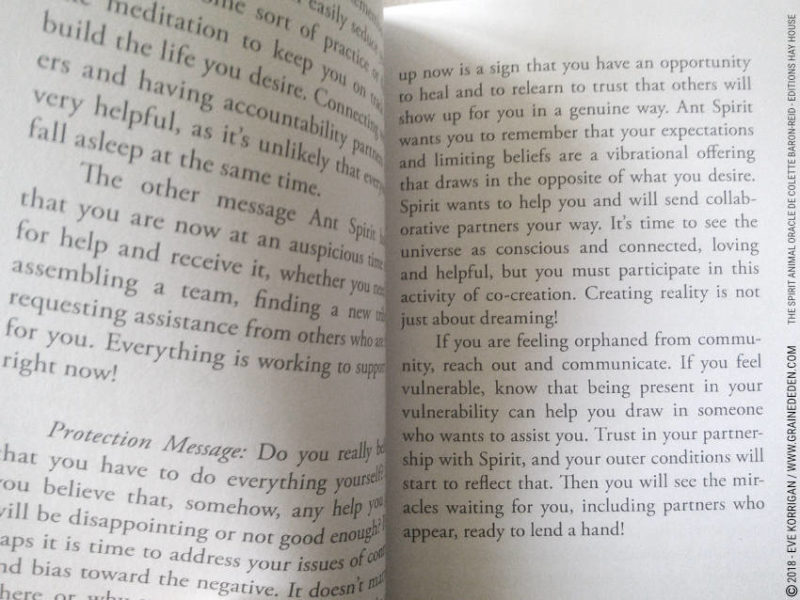 The Spirit Animal Oracle de Colette Baron-Reid et Jena DellaGrottaglia Review - Graine d'Eden Développement personnel, spiritualité, tarots et oracles divinatoires, Bibliothèques des Oracles, avis, présentation, review tarot oracle , revue tarot oracle