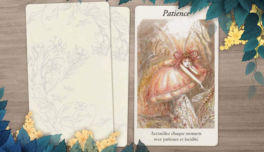 18 au 24 Février 2019 avec L'Oracle des Fées - Votre taroscope guidance de la semaine avec The Spirit Animal Oracle- Graine d'Eden Développement personnel, spiritualité, tarots et oracles divinatoires, Bibliothèques des Oracles, avis, présentation, review , revue