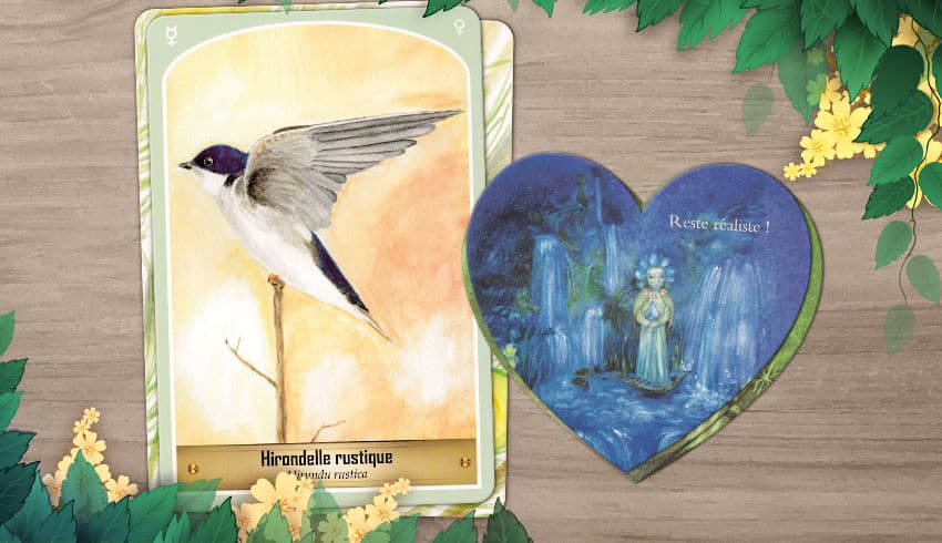 25 Février au 3 mars 2019 avec L'Oracle des Oiseaux et des Elfes - Votre taroscope guidance de la semaine avec The Spirit Animal Oracle- Graine d'Eden Développement personnel, spiritualité, tarots et oracles divinatoires, Bibliothèques des Oracles, avis, présentation, review , revue