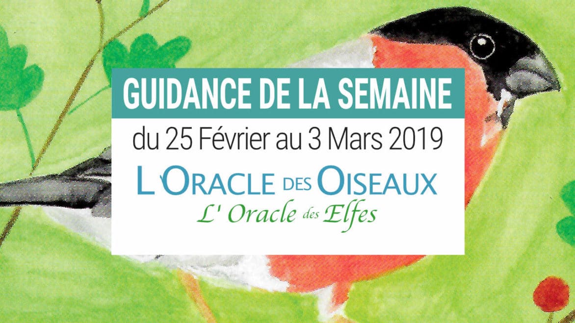 25 Février au 3 mars 2019 avec L'Oracle des Oiseaux et des Elfes - Votre taroscope guidance de la semaine avec The Spirit Animal Oracle- Graine d'Eden Développement personnel, spiritualité, tarots et oracles divinatoires, Bibliothèques des Oracles, avis, présentation, review , revue