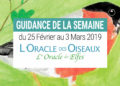 25 Février au 3 mars 2019 avec L'Oracle des Oiseaux et des Elfes - Votre taroscope guidance de la semaine avec The Spirit Animal Oracle- Graine d'Eden Développement personnel, spiritualité, tarots et oracles divinatoires, Bibliothèques des Oracles, avis, présentation, review , revue