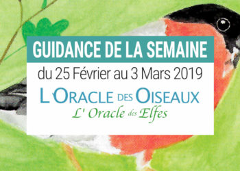 25 Février au 3 mars 2019 avec L'Oracle des Oiseaux et des Elfes - Votre taroscope guidance de la semaine avec The Spirit Animal Oracle- Graine d'Eden Développement personnel, spiritualité, tarots et oracles divinatoires, Bibliothèques des Oracles, avis, présentation, review , revue