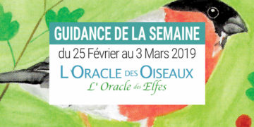 25 Février au 3 mars 2019 avec L'Oracle des Oiseaux et des Elfes - Votre taroscope guidance de la semaine avec The Spirit Animal Oracle- Graine d'Eden Développement personnel, spiritualité, tarots et oracles divinatoires, Bibliothèques des Oracles, avis, présentation, review , revue