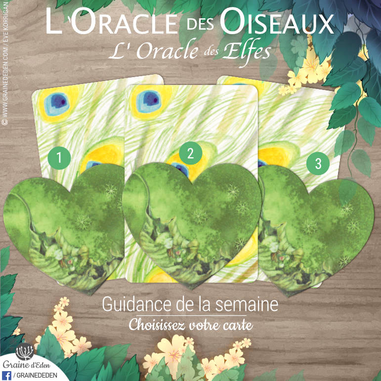 25 Février au 3 mars 2019 avec L'Oracle des Oiseaux et des Elfes - Votre taroscope guidance de la semaine avec The Spirit Animal Oracle- Graine d'Eden Développement personnel, spiritualité, tarots et oracles divinatoires, Bibliothèques des Oracles, avis, présentation, review , revue