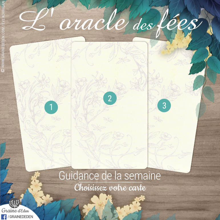 18 au 24 Février 2019 avec L'Oracle des Fées - Votre taroscope guidance de la semaine avec The Spirit Animal Oracle- Graine d'Eden Développement personnel, spiritualité, tarots et oracles divinatoires, Bibliothèques des Oracles, avis, présentation, review , revue