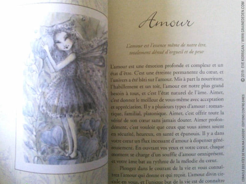 L'Oracle des Fées de Paulina Cassidy Review - Graine d'Eden Développement personnel, spiritualité, tarots et oracles divinatoires, Bibliothèques des Oracles, avis, présentation, review , revue