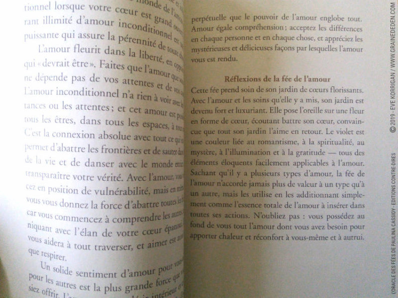 L'Oracle des Fées de Paulina Cassidy Review - Graine d'Eden Développement personnel, spiritualité, tarots et oracles divinatoires, Bibliothèques des Oracles, avis, présentation, review , revue