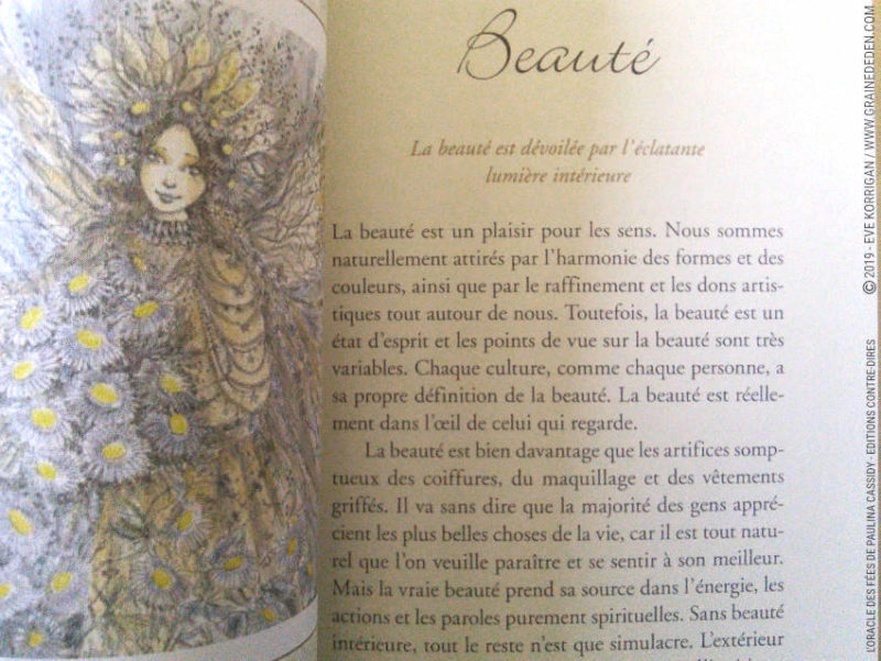 L'Oracle des Fées de Paulina Cassidy Review - Graine d'Eden Développement personnel, spiritualité, tarots et oracles divinatoires, Bibliothèques des Oracles, avis, présentation, review , revue