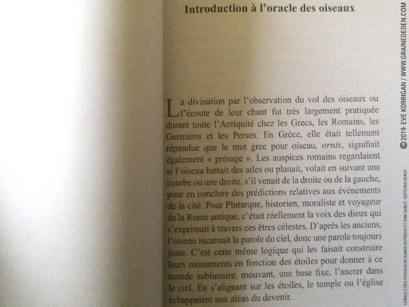 L' Oracle des Oiseaux de Karen Dutrech et Erik Sablé - Graine d'Eden Développement personnel, spiritualité, tarots et oracles divinatoires, Bibliothèques des Oracles, avis, présentation, review , revue