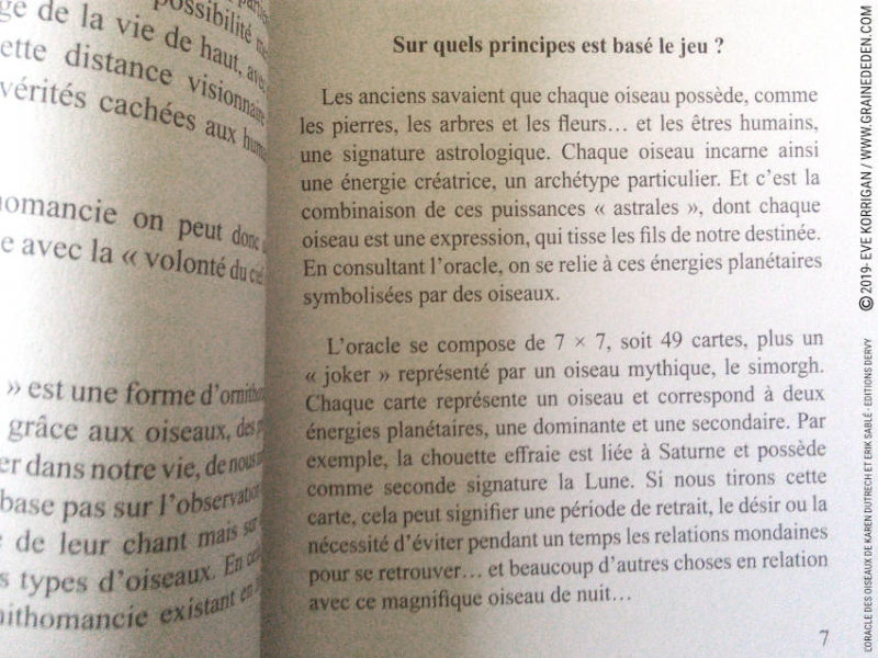 L' Oracle des Oiseaux de Karen Dutrech et Erik Sablé - Graine d'Eden Développement personnel, spiritualité, tarots et oracles divinatoires, Bibliothèques des Oracles, avis, présentation, review , revue