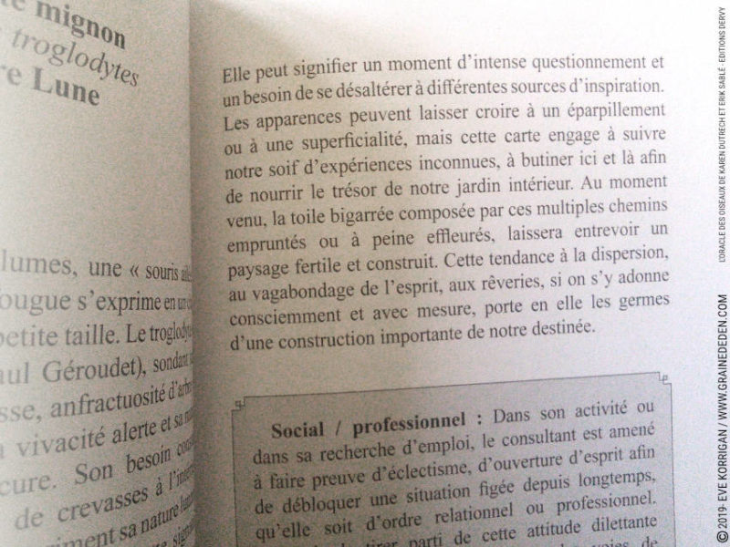 L' Oracle des Oiseaux de Karen Dutrech et Erik Sablé - Graine d'Eden Développement personnel, spiritualité, tarots et oracles divinatoires, Bibliothèques des Oracles, avis, présentation, review , revue