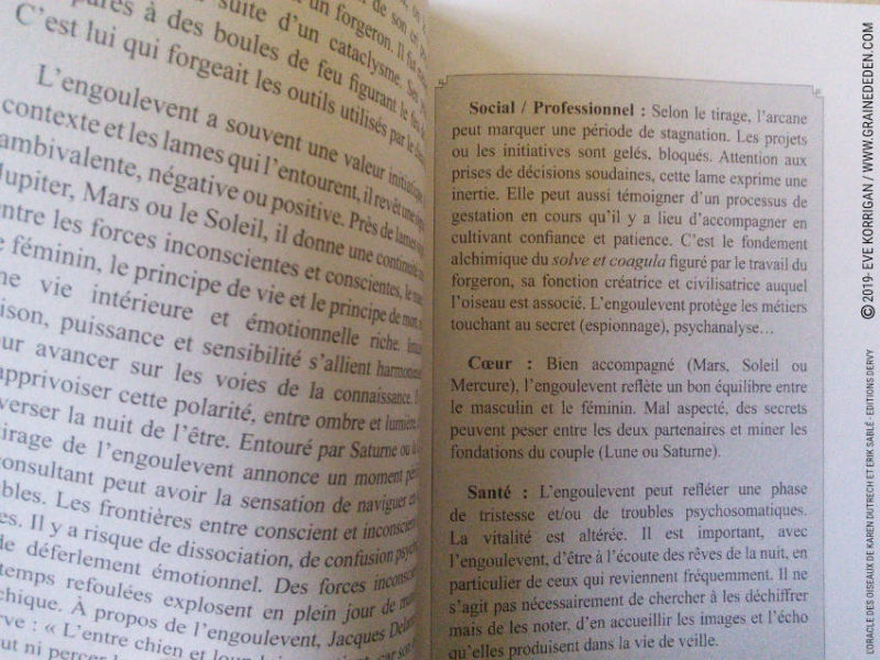 L' Oracle des Oiseaux de Karen Dutrech et Erik Sablé - Graine d'Eden Développement personnel, spiritualité, tarots et oracles divinatoires, Bibliothèques des Oracles, avis, présentation, review , revue