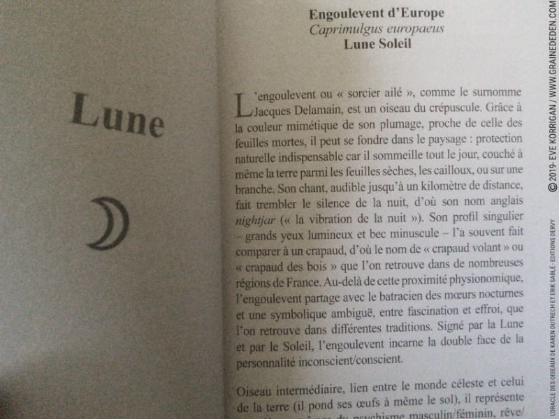 L' Oracle des Oiseaux de Karen Dutrech et Erik Sablé - Graine d'Eden Développement personnel, spiritualité, tarots et oracles divinatoires, Bibliothèques des Oracles, avis, présentation, review , revue