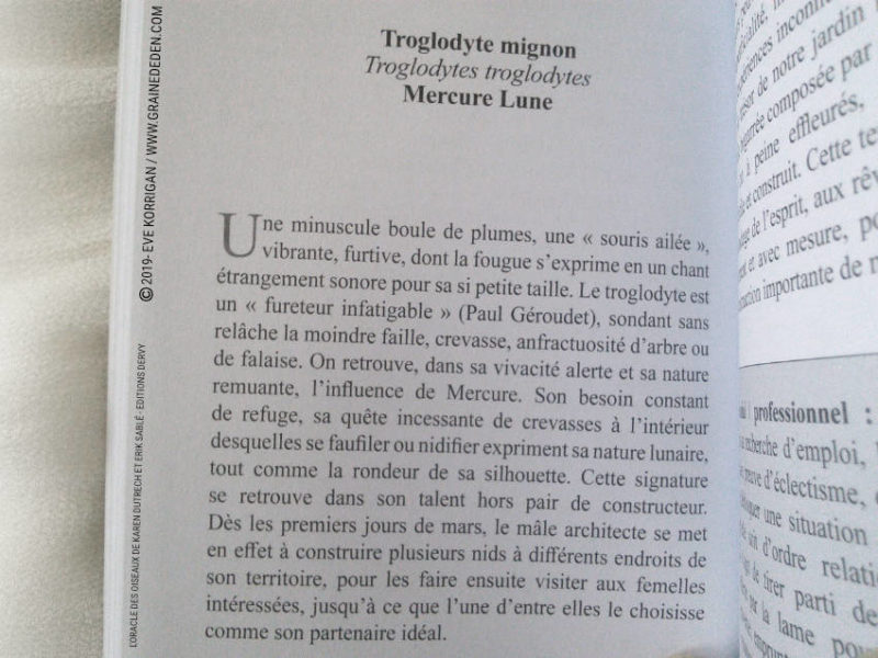 L' Oracle des Oiseaux de Karen Dutrech et Erik Sablé - Graine d'Eden Développement personnel, spiritualité, tarots et oracles divinatoires, Bibliothèques des Oracles, avis, présentation, review , revue