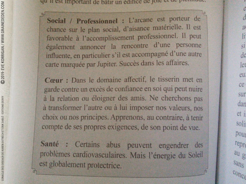 L' Oracle des Oiseaux de Karen Dutrech et Erik Sablé - Graine d'Eden Développement personnel, spiritualité, tarots et oracles divinatoires, Bibliothèques des Oracles, avis, présentation, review , revue