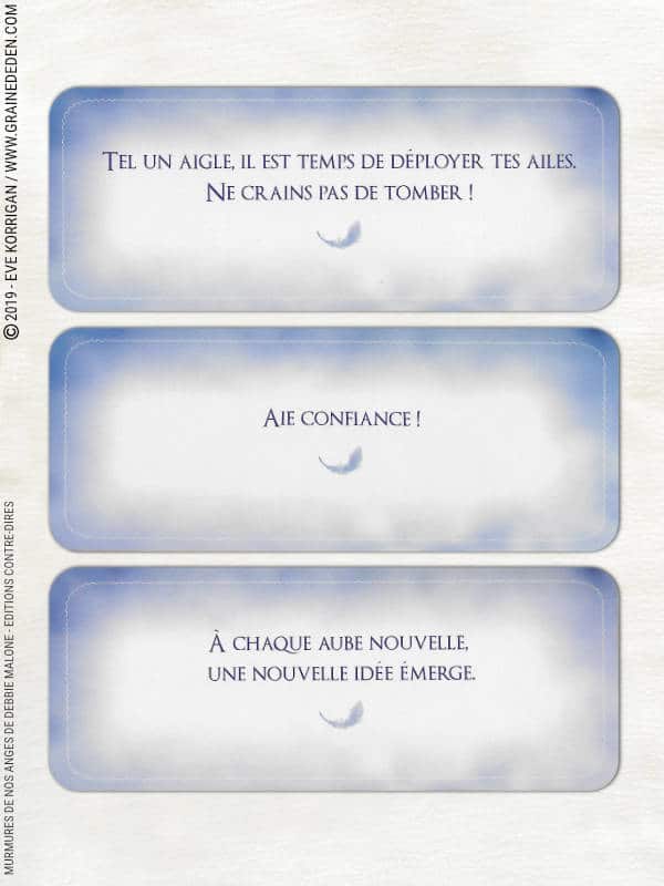 Murmures de nos Anges cartes Oracle de Debbie Malone - Graine d'Eden Développement personnel, spiritualité, tarots et oracles divinatoires, Bibliothèques des Oracles, avis, présentation, review , revue