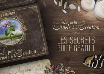 Le Petit Oracle de la Création - Ses secrets - Guide pour travailler avec ses cartes - Graine d'Eden Eve Korrigan Développement personnel, spiritualité, tarots et oracles divinatoires, Bibliothèques des Oracles, avis, présentation, review , revue