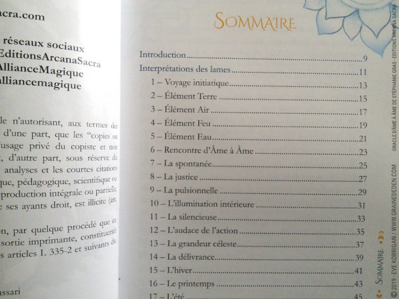 Oracle D'Âme à Âme de Stéphanie Gras Review - Graine d'Eden Développement personnel, spiritualité, tarots et oracles cartes divinatoires, Bibliothèques des Oracles, avis, présentation, review , revue