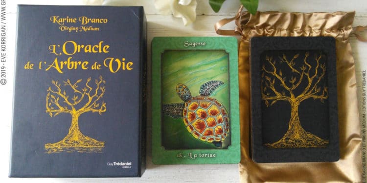 La bibliothèque de jeux cartes oracle tarots divinatoires