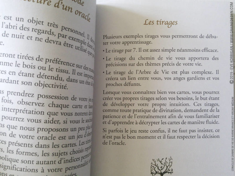 L’Oracle de l'Arbre de Vie de Karine Branco et Virginie Médium review et avis - Graine d'Eden Développement personnel, spiritualité, tarots et oracles cartes divinatoires, Bibliothèques des Oracles, avis, présentation, review , revue