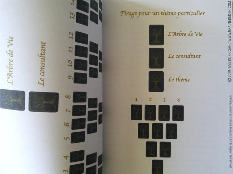 L’Oracle de l'Arbre de Vie de Karine Branco et Virginie Médium review et avis - Graine d'Eden Développement personnel, spiritualité, tarots et oracles cartes divinatoires, Bibliothèques des Oracles, avis, présentation, review , revue