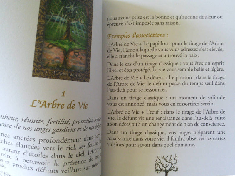 L’Oracle de l'Arbre de Vie de Karine Branco et Virginie Médium review et avis - Graine d'Eden Développement personnel, spiritualité, tarots et oracles cartes divinatoires, Bibliothèques des Oracles, avis, présentation, review , revue