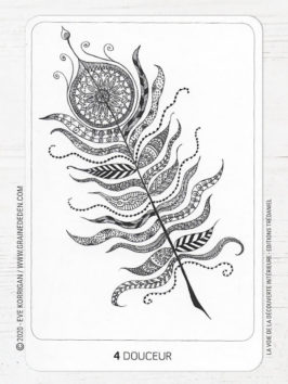 voie de la découverte intérieure cartes