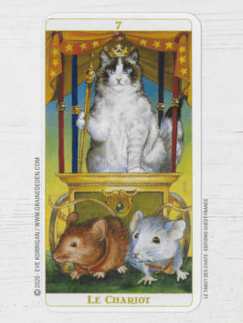 Le Tarot des Chats de Céline Guillaume et Séverine Pineaux