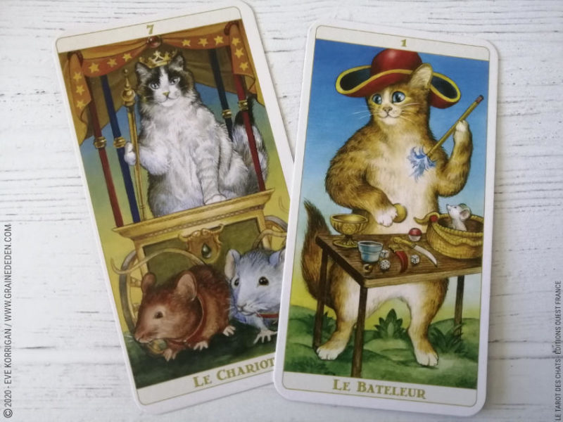 Le Tarot des Chats de Céline Guillaume et Séverine Pineaux