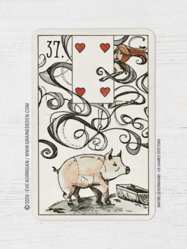 Maybe Lenormand Cartes de Ryan Edward - Graine d'Eden Développement personnel, spiritualité, tarots et oracles divinatoires, Bibliothèques des Oracles, avis, présentation, review tarot oracle , revue tarot oracle