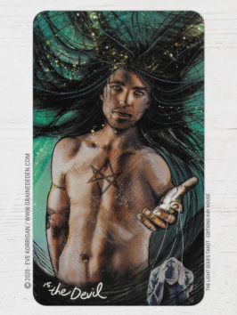 The Light Seer's Tarot de Chris-Anne