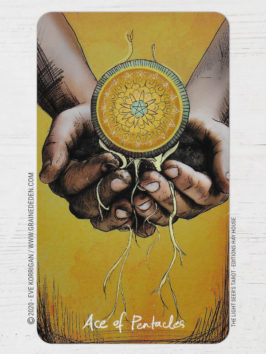 The Light Seer's Tarot de Chris-Anne