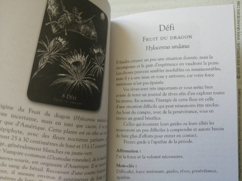 L'Oracle des Fleurs Nocturnes de Cheralyn Darcey